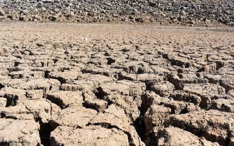 Why This Whale ‘Poop’ Is Called ‘Floating Gold’
