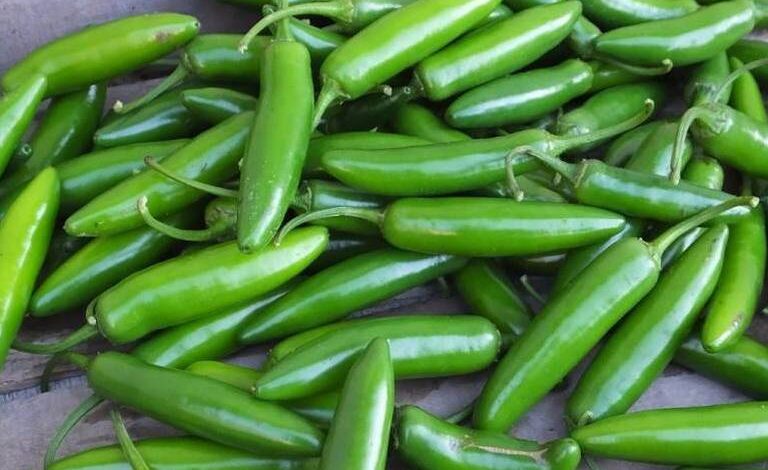 Lluvias disminuyen utilidades agrícolas por retrasos en entregas