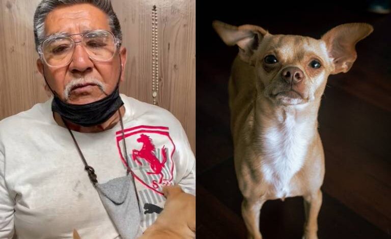 ¡Ayuda a Nani a volver a casa! Don Cuco pide apoyo para poder continuar la búsqueda