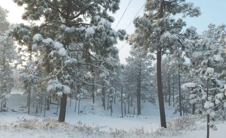 Clima en Chihuahua: Pronóstico de aguanieve y nieve para la Sierra