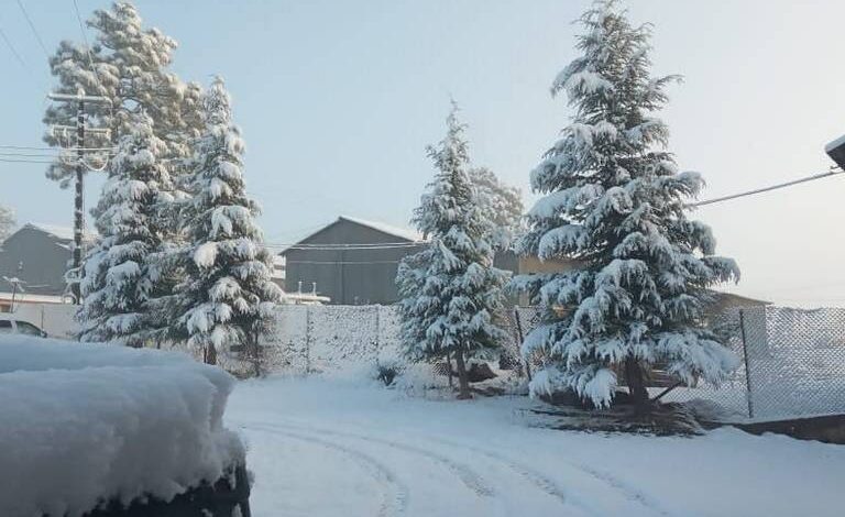Deja Quinta Tormenta Invernal seis municipios de Chihuahua con nieve