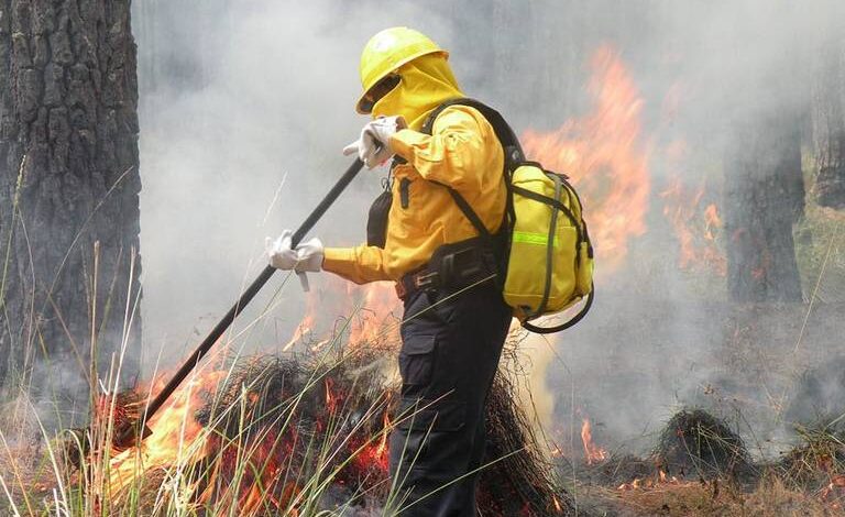 Luchan contra incendios forestales en tres municipios de Chihuahua