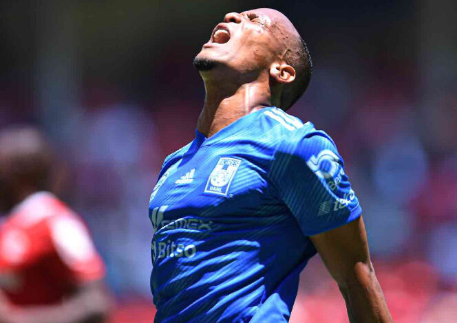 Luis Quiñones condicionó a Tigres en derrota, aceptó ‘Chima’ Ruiz