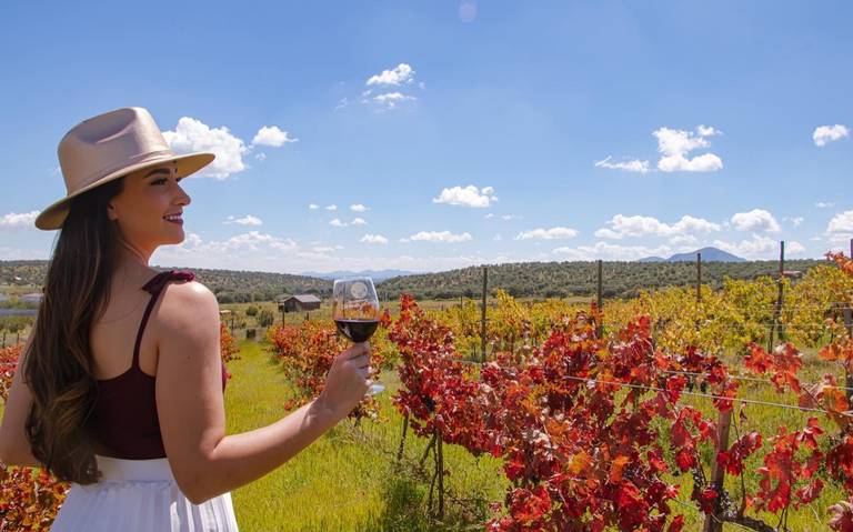 ¿Un vinito? Integran a Cuauhtémoc en catálogo de enoturismo