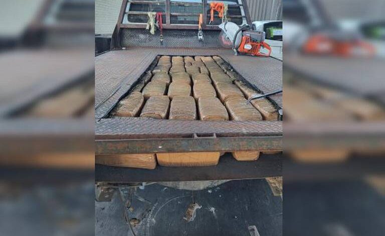 Incauta CBP 389 libras de narcóticos en cruces internacionales