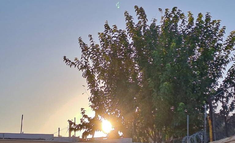 ¡Día caluroso y con aire! Se esperan vientos y una máxima de 27°C