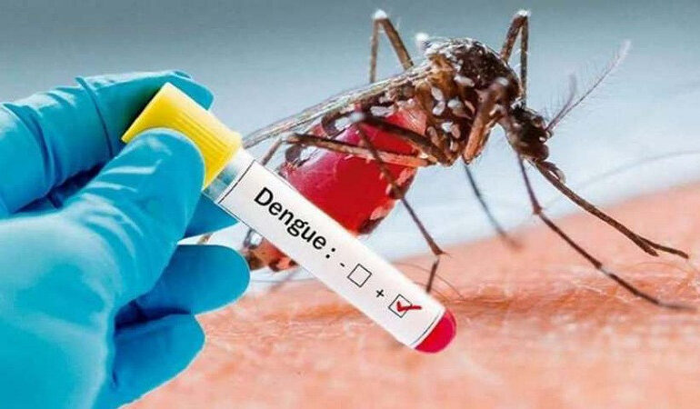 OMS advierte alto riesgo de expansión global del dengue; van 5 mil muertes en el 2023