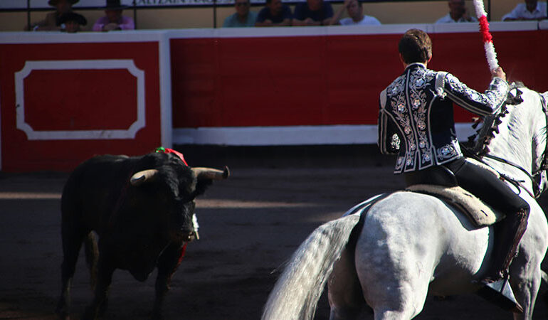 Diputados morenistas promueven consulta pública sobre corridas de toros