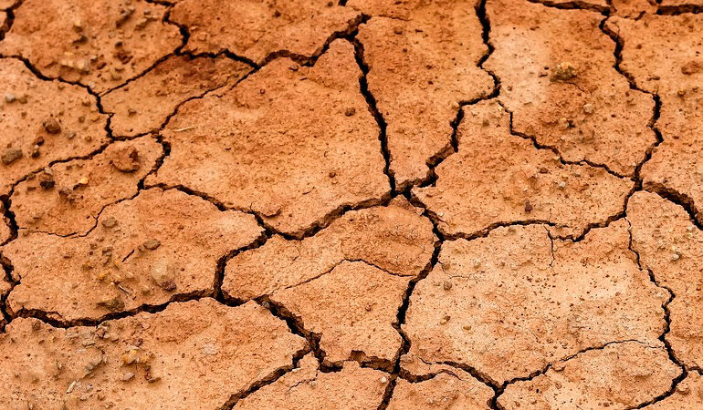 En riesgo actividad pesquera en presas del Valle de México por graves sequías