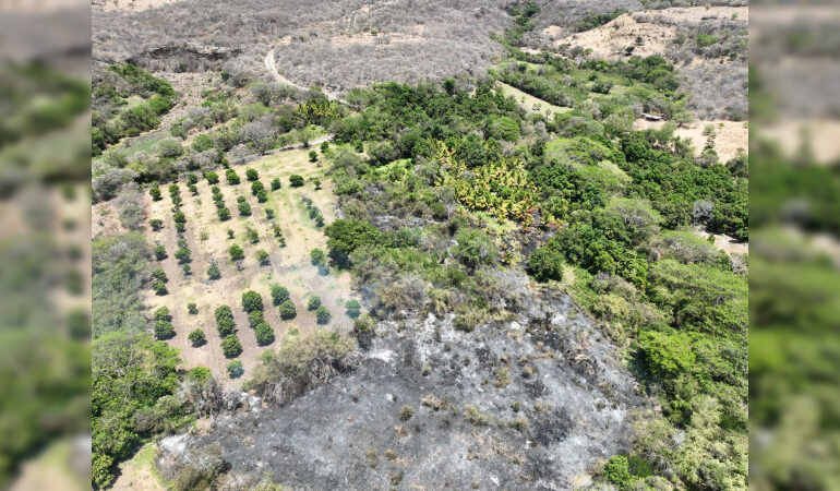 Combatientes apagan incendio forestal en Chinicuila y controlan 5 más en Michoacán