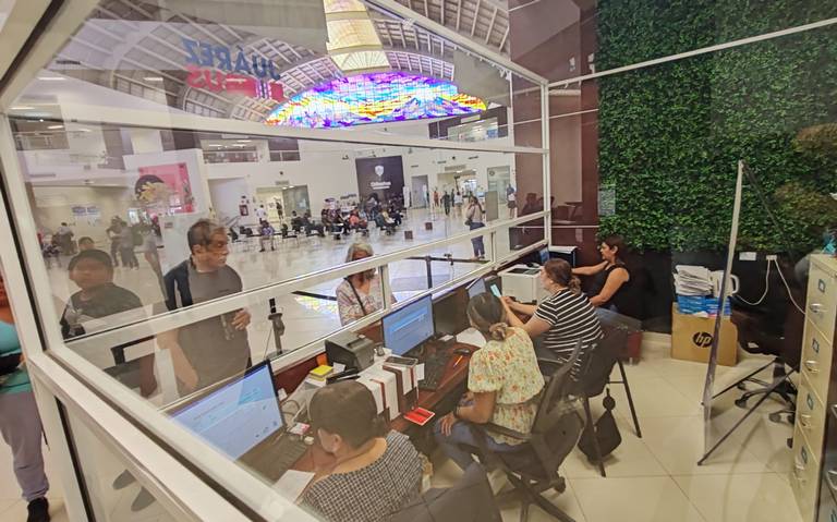 Expedidas más de 79 mil tarjetas del Juárez Bus