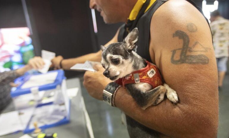 Europa vota con el fantasma de la ultraderecha antieuropea tocando la puerta