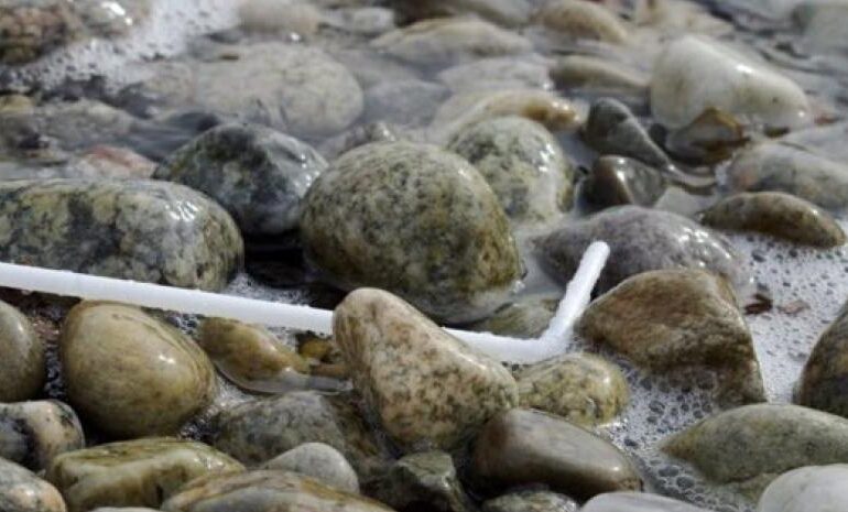 Plantean en Senado multas por hasta 1mdp a quienes  generen basura marina.