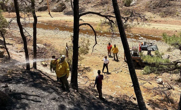 Trabaja Protección Civil en la comunidad Cueva del Toro en Guerrero para combatir incendios forestales