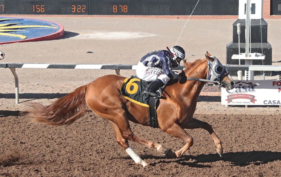 Arranca última semana de carreras de caballos en Sunland Park