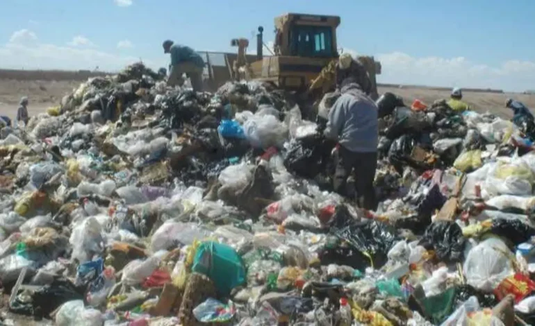 Iniciará programa de recolección de basura diferenciada, anuncia Dirección de Limpia