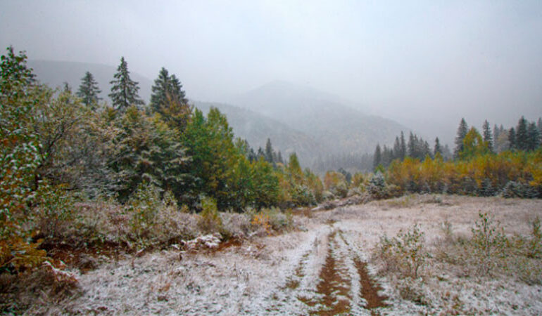 Se esperan heladas y la posible caída de nieve en algunas regiones del país este Día de Reyes